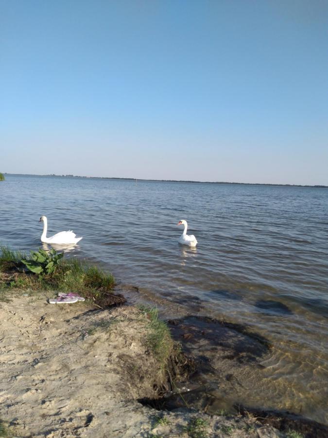 Лазурний Берег Pulemets Luaran gambar