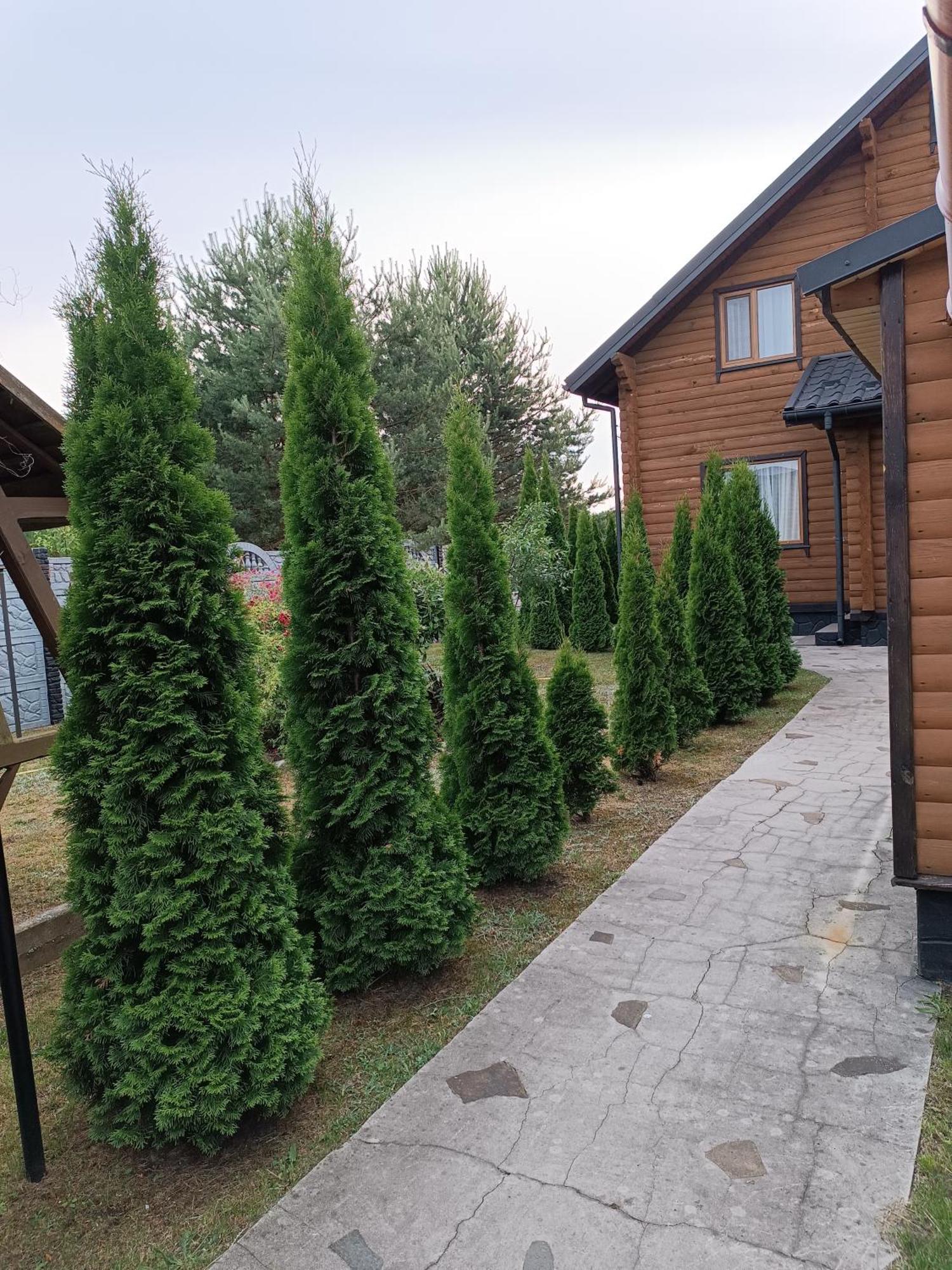Лазурний Берег Pulemets Luaran gambar