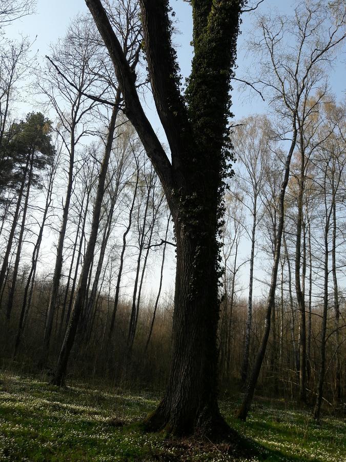 Лазурний Берег Pulemets Luaran gambar